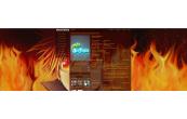 Reborn Tsuna