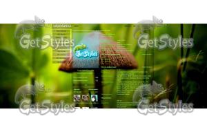 mushroom тема для контакта