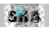 SkA