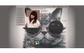 Cat with glasses