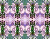0mirror0_2011_01_30