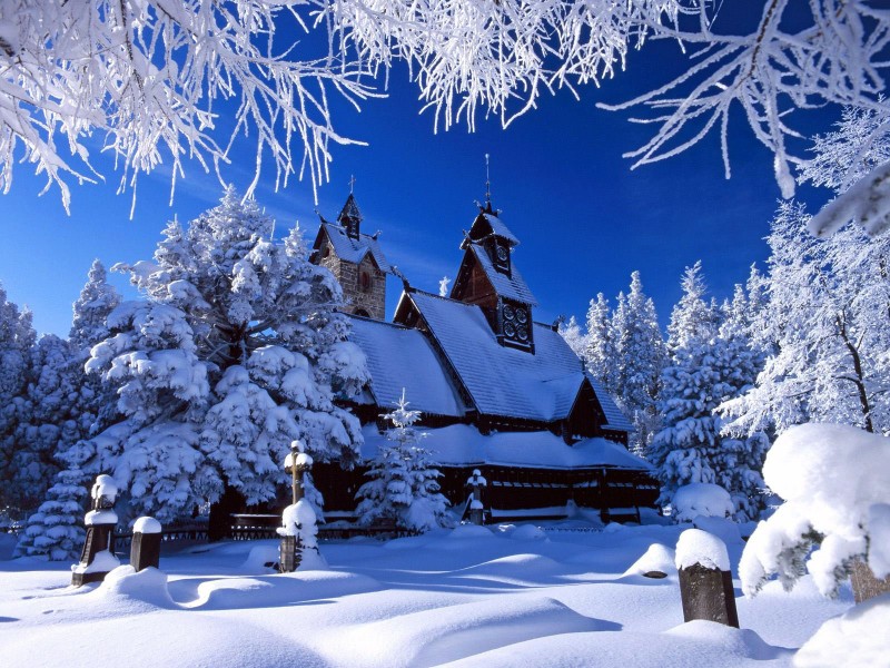 2845_2011_02_03 тема для контакта