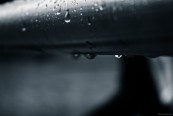 AHjEJIA_2011_01_12