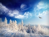 Angorakat_2011_02_11