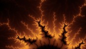 Bedsus_2011_01_24