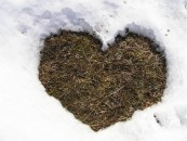 CheyZ_2011_02_16