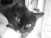 Daxaxa_2011_01_04