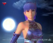Dead or Alive 4 Ayane