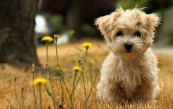 KatRineeee_2011_01_24