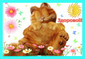 Кот