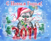 котик