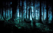 LuxeD_2010_12_29