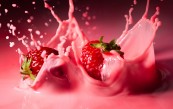 Marmelady_2011_02_07