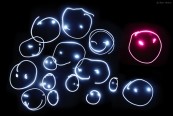 miaalx_2010_12_19