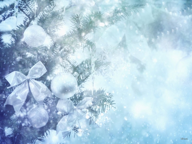 miaalx_2010_12_19 тема для контакта