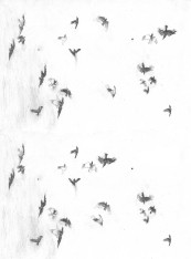 MartaMartaMarta_2011_01_2