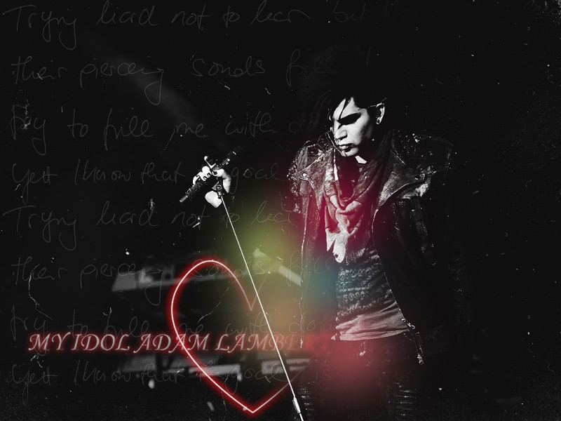 my_idol_Adam_Lambert тема для контакта