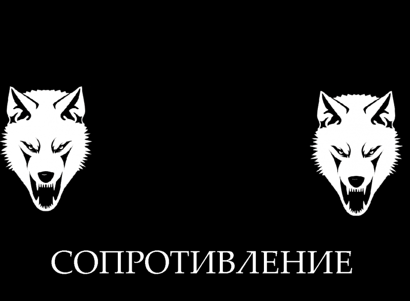 natsionalka_2011_02_14 тема для контакта