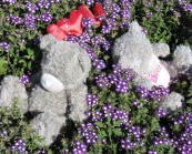 Natulya94_2011_02_09