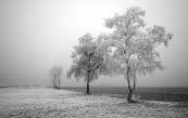 Navaho_2011_01_02