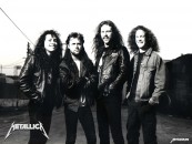 RoVi_MetallicA