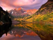 TRUNK_17_2011_01_29