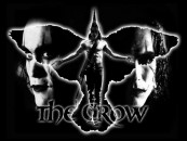 The Crow