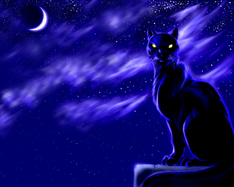Your_wolfy_2011_01_14 тема для контакта