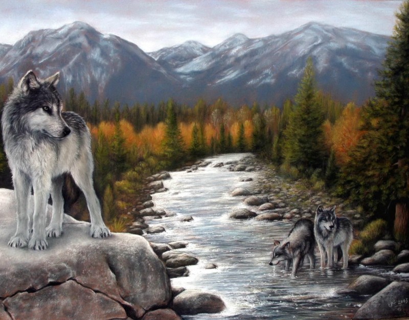 Your_wolfy_2011_02_02 тема для контакта