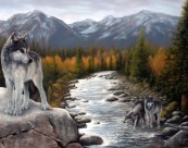 Your_wolfy_2011_02_02
