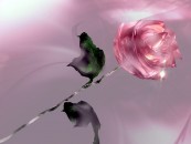 _15__2011_02_06