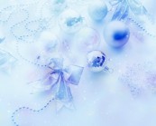 alla-aqua_2011_01_05