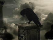 antoniosha13_2011_01_09