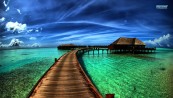 anya_alya_2011_02_14