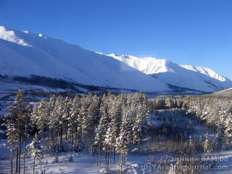 artemkakorolev_2011_01_07 тема для контакта
