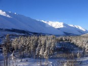 artemkakorolev_2011_01_07