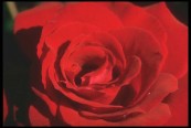 asterios_2010_12_26