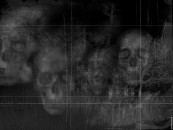 aterum_2011_01_11