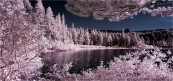 gsvml_2011_01_20