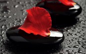 irmand_2011_01_17