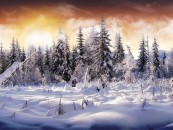 ivanmegaman0704_2011_01_1