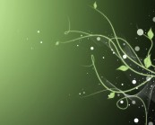 iwkas_2010_12_30