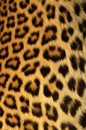 karamelkakiss_2011_01_24