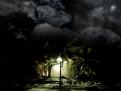 krot_xx_2011_01_21