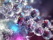 miaalx_2010_12_25