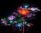 miaalx_2010_12_26