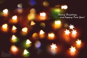 miaalx_2011_01_02