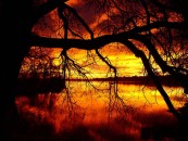 michie_2011_01_30