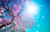 Prekrasnoo_2011_02_17