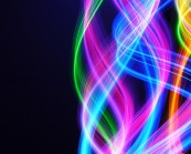 panalex_2011_02_18